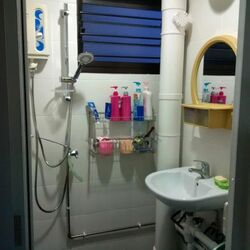 Blk 219 Lorong 8 Toa Payoh (Toa Payoh), HDB 4 Rooms #557200511
